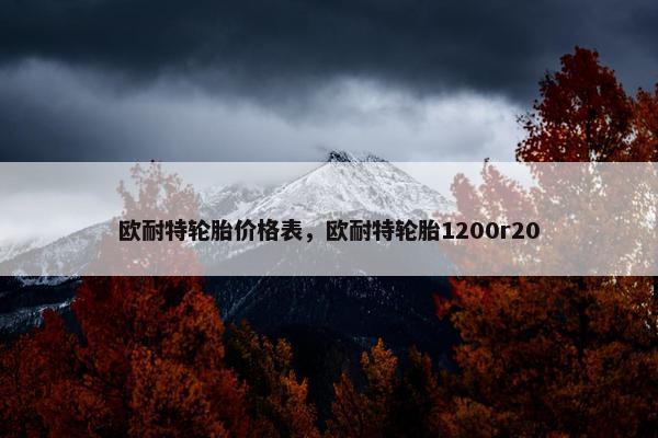欧耐特轮胎价格表，欧耐特轮胎1200r20