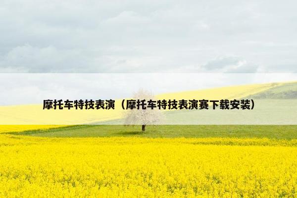 摩托车特技表演（摩托车特技表演赛下载安装）