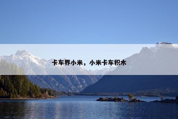 卡车界小米，小米卡车积木