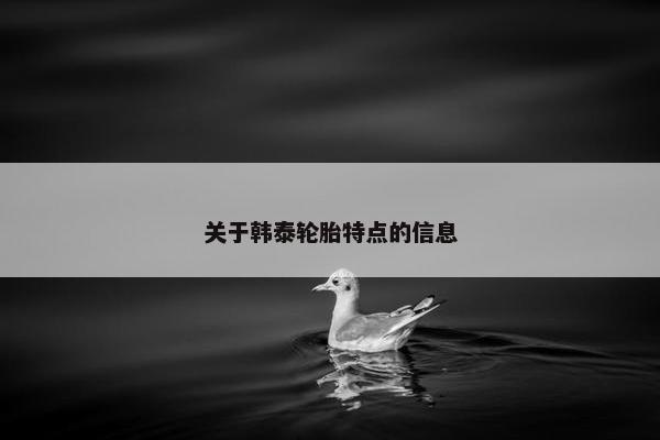 关于韩泰轮胎特点的信息