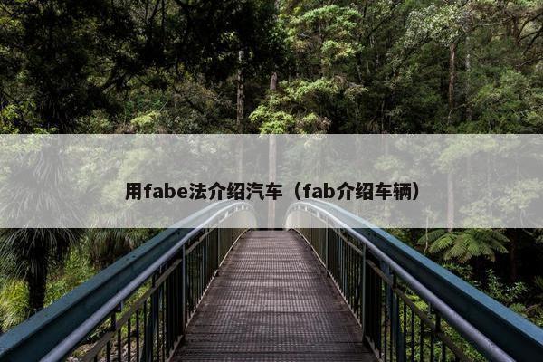 用fabe法介绍汽车（fab介绍车辆）