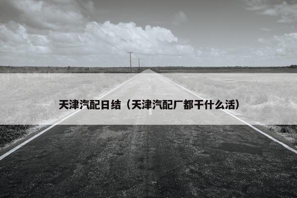 天津汽配日结（天津汽配厂都干什么活）
