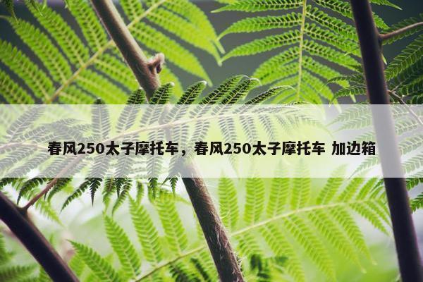春风250太子摩托车，春风250太子摩托车 加边箱