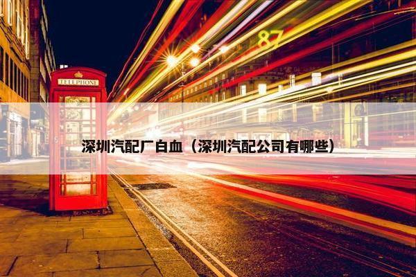 深圳汽配厂白血（深圳汽配公司有哪些）
