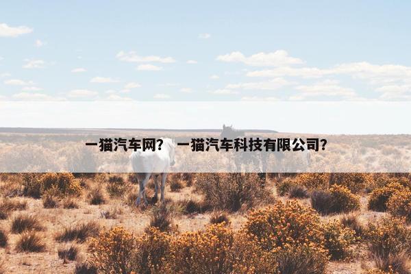 一猫汽车网？ 一猫汽车科技有限公司？
