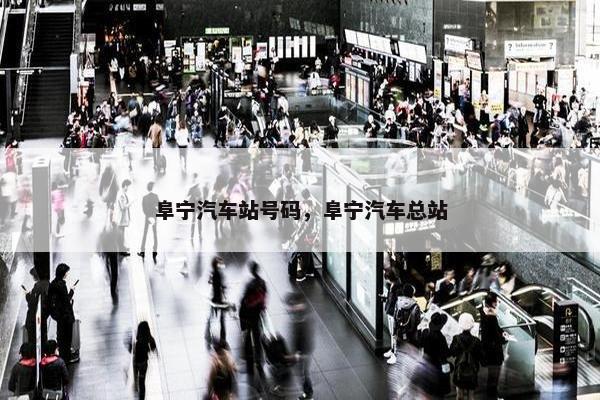 阜宁汽车站号码，阜宁汽车总站