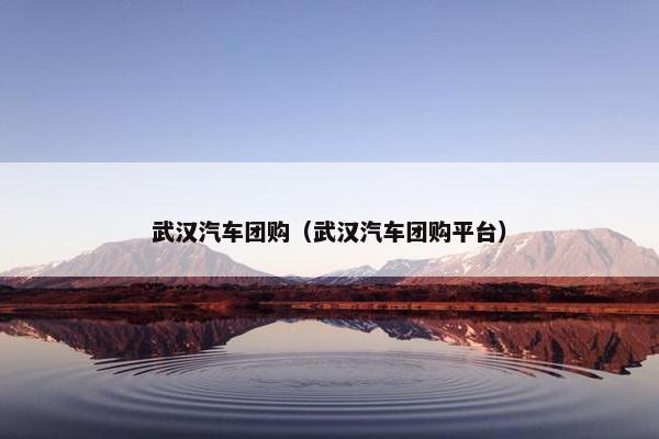武汉汽车团购（武汉汽车团购平台）