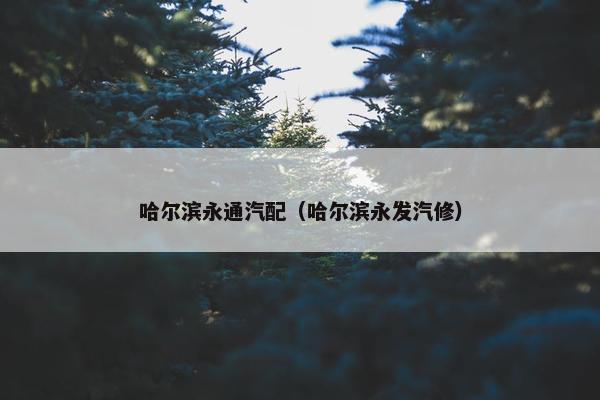 哈尔滨永通汽配（哈尔滨永发汽修）