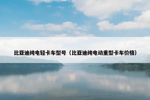 比亚迪纯电轻卡车型号（比亚迪纯电动重型卡车价格）
