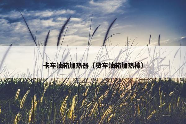 卡车油箱加热器（货车油箱加热棒）